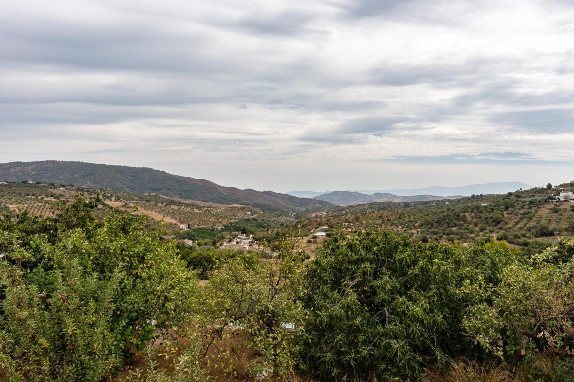 Malagasuite Cortijo Robles Casarabonela Екстериор снимка