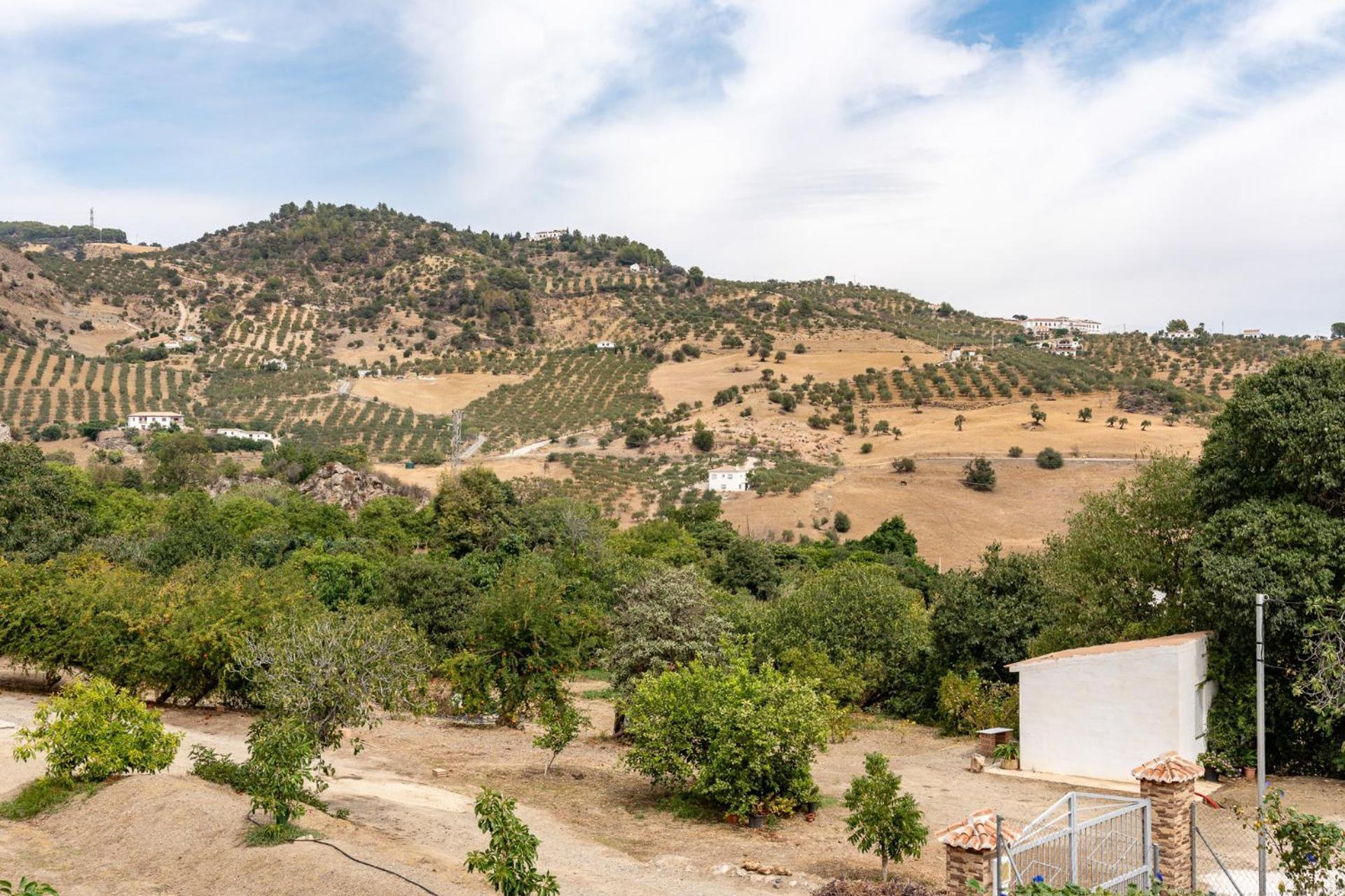 Malagasuite Cortijo Robles Casarabonela Екстериор снимка