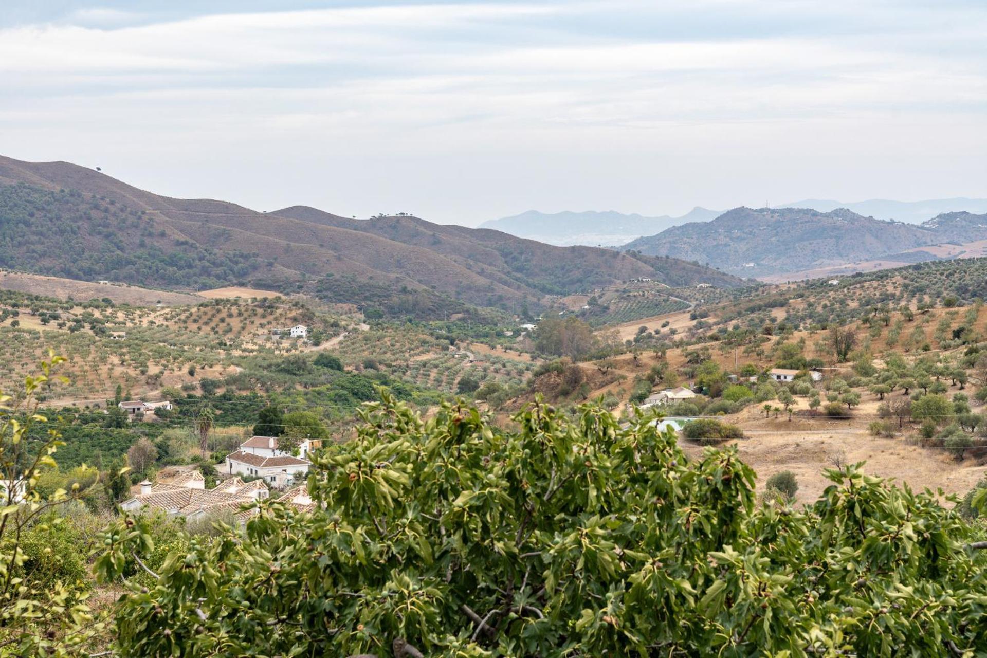 Malagasuite Cortijo Robles Casarabonela Екстериор снимка